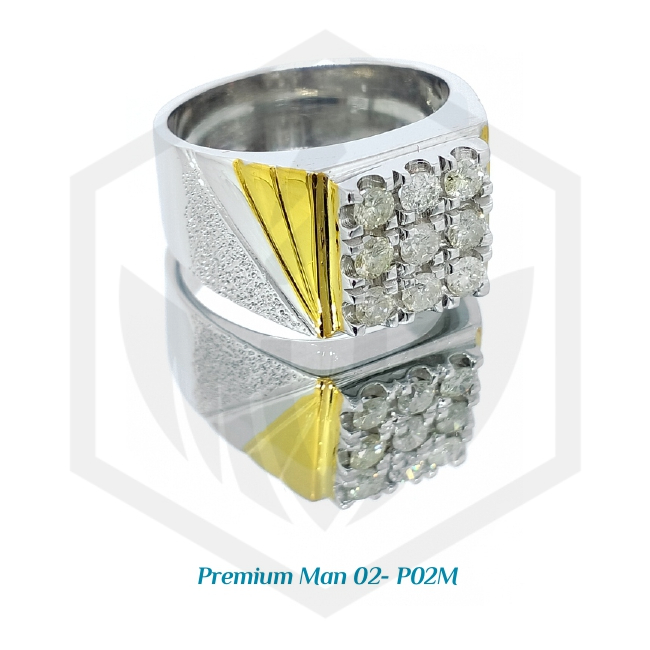 Premium Man 02